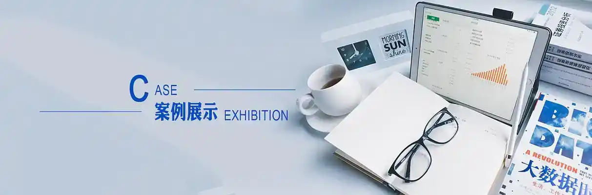 眉山县软件开发